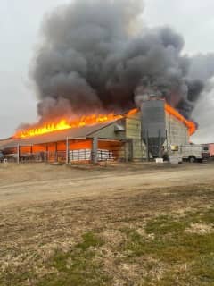 Cows Safe, Workshop Destroyed By Two-Alarm Fire At Kilby Farm In Colora