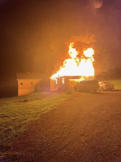 Quick-Thinking Dogs Alert Family To Garage Fire Following Storms In Maryland