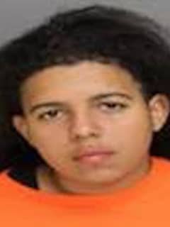 Teen Nabbed In Burglary Attempt At Auto Business In Area