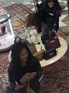 Women Wanted For Stealing $790 Gucci Wallet From Suffolk Saks Fifth Ave