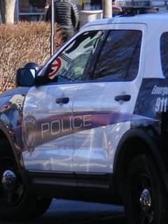 Washington Township Rollover Crash Kills Rockland Driver, 69