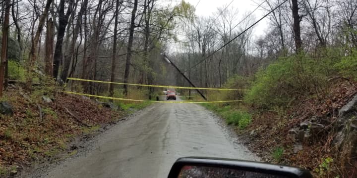 High winds downed trees and utility wires.