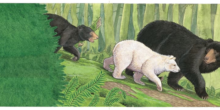 “North American Black Bear,” 2012, from Wild About Bears