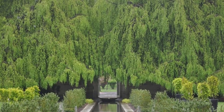 The Untermyer Gardens in Yonkers is being restored thanks to $2 million raised.
