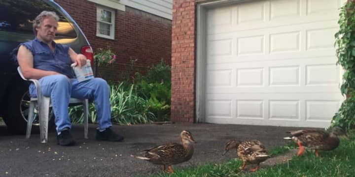 John Kaufman of Fair Lawn feeds ducks in his Blue Hill Avenue driveway.