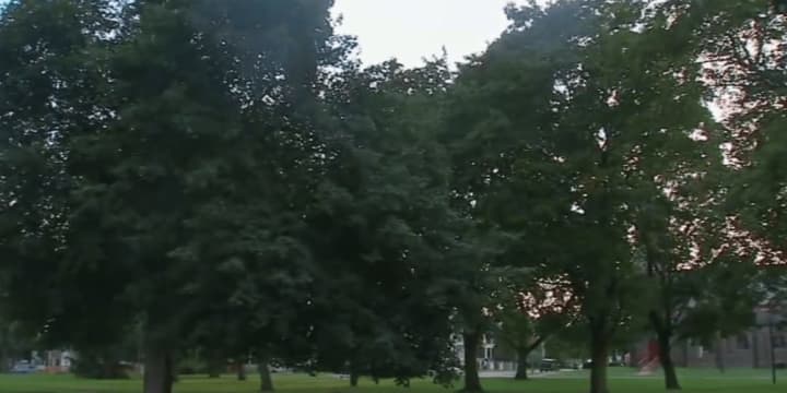 The area of Mansion Square Park in Poughkeepsie that was hit Friday afternoon by a lightning strike that killed one man and injured four other people.