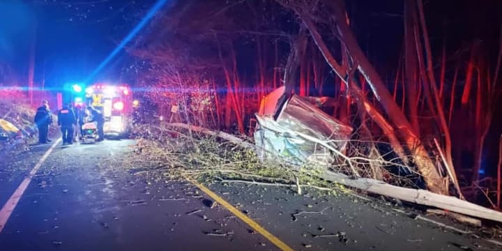 The crash brought down trees on the roadway.