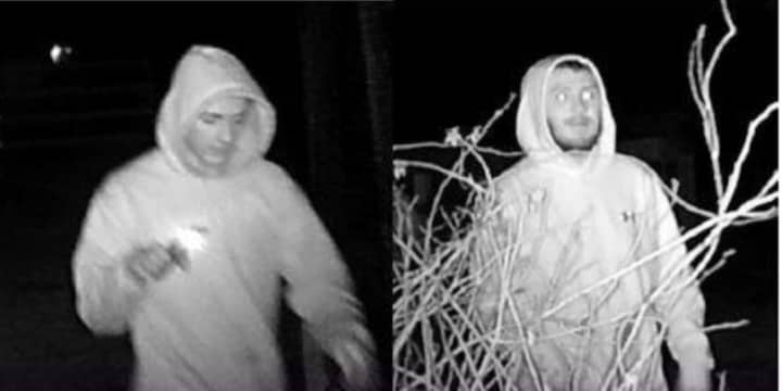 Know them? Police are attempting to identify several men who allegedly vandalized the Smithbriar Nature Center.
