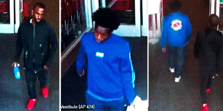 Police say two men used a stolen credit card to purchase merchandise at Target (124 East Jericho Turnpike).