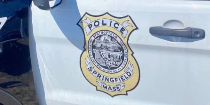 Springfield Police Officer Jeffrey Alicea was suspended from duty after he was charged with assaulting a family member last month, officials said.