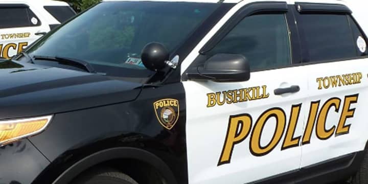 Bushkill Township Police Department
  
