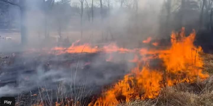 A brush fire burned in Pittstown.
