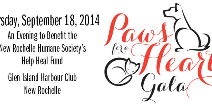 Online bidding for Paws for the Heart Gala has begun online. 