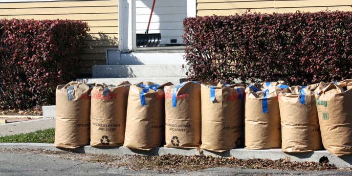 New Rochelle has begun leaf pickup, which will continue through the end of December. 