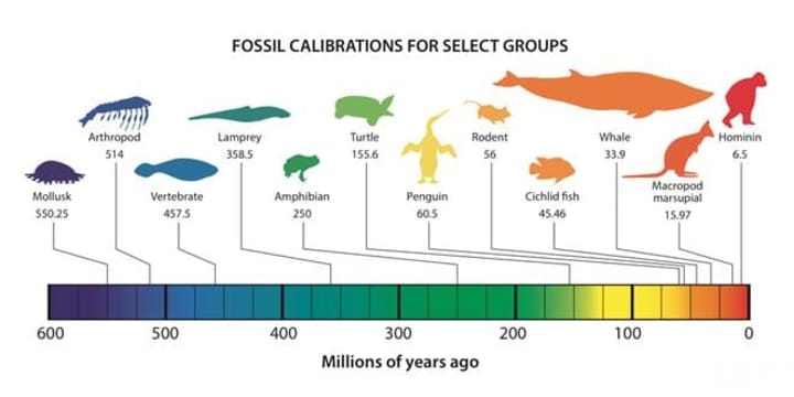 The Fossil Calibration Database launched on Tuesday, Feb. 24.
