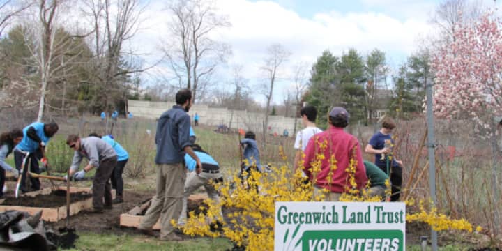 The Greenwich Land Trust will be celebrating Earth Day with its Beautification Project.