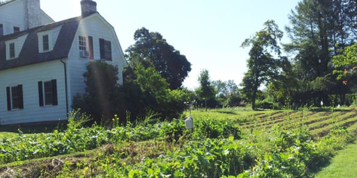 The next volunteer gathering at Sugar Hill Farm will be held July 28. 