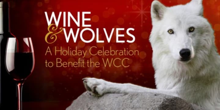 The Wolf Conservation Center in South Salem is celebrating its 13th birthday with a holiday benefit party.