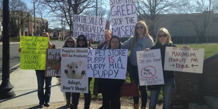 A group of women protest in Danbury, Conn., after pet shop owner Richard Doyle was charged in Connecticut with animal cruelty and practicing veterinary medicine without a license.