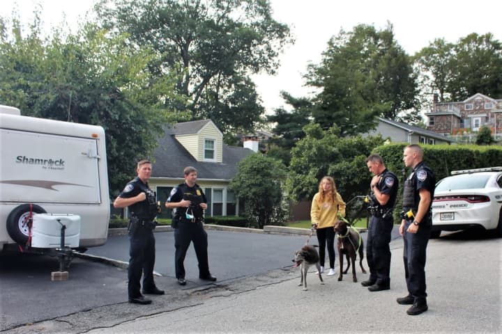 Family Dogs Rescued After House Fire Breaks Out In Area