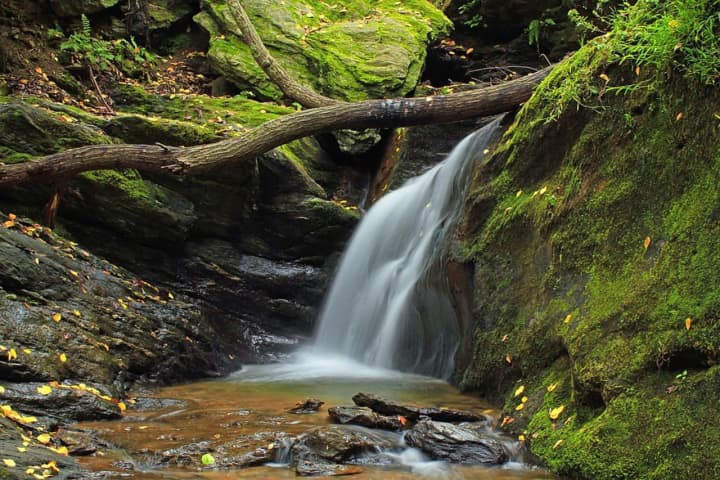 The Ultimate Guide To Spring Activities In York County