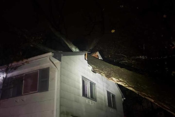 Photos: Large Tree Crashes Onto House In Area