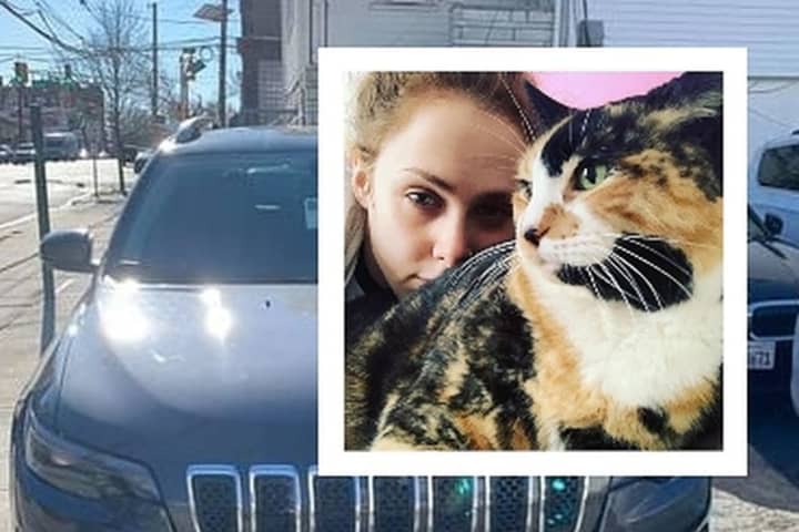 SEE ANYTHING? Woman's Rental Car Stolen From Hudson County Gas Station With Cat Inside