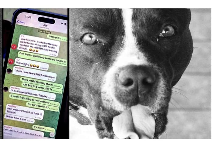 NJ Pair Staged Dog Fights, Shared Vids On Telegram Of 'Underperformers' Being Hanged: Feds
