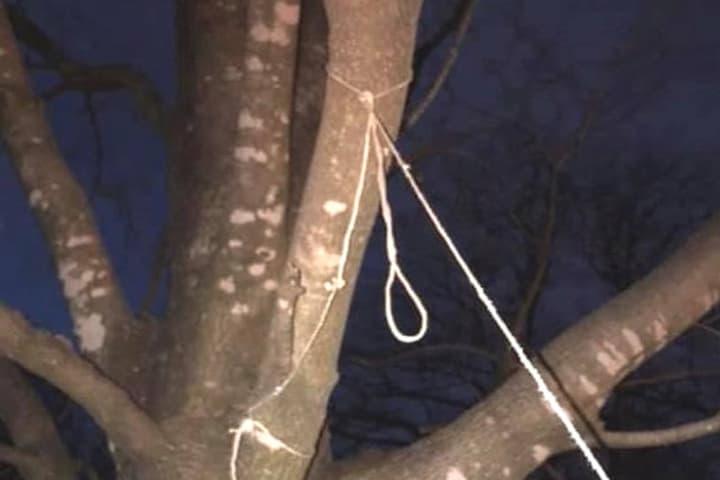 Police Say Twine Tied To Tree In Fair Lawn Doesn't Appear Suspicious, Mayor Not Buying It