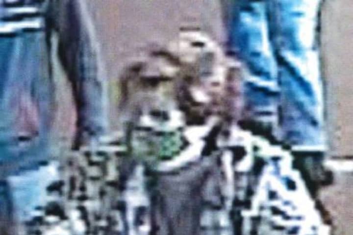 KNOW HER? Police Seek ID For Woman Who Stole $500 Of Wine, Food From Northampton County Wegmans