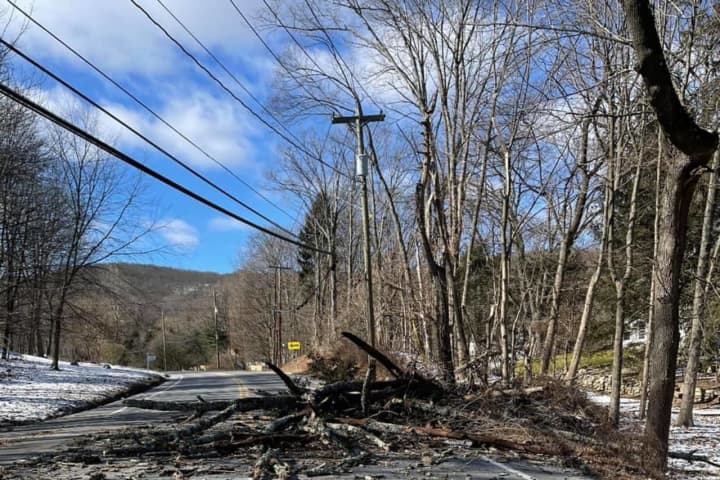 High Winds Knock Down Trees, Causing Road Closures In Ramapo