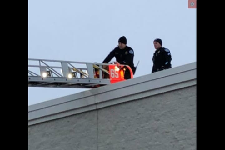 GOOD BOY: Bucks Police K9 Leads Police To Burglar Hiding On Home Depot Roof