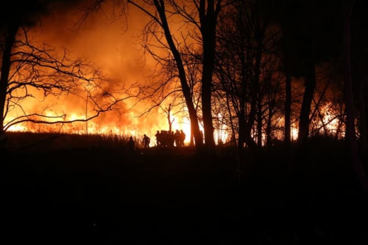 Firefighters Battle Meadowlands Brush Fire