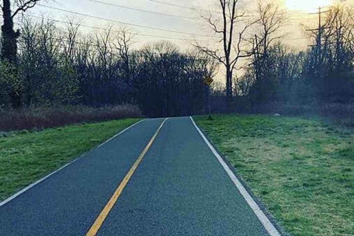 Man Found Stabbed To Death On Popular Long Island Trail