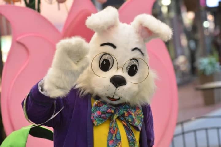 Sleeping Willowbrook Mall Easter Rabbit Was 'Downright Scary,' Mom Says
