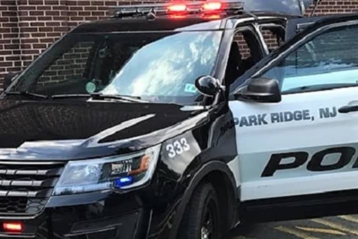 Park Ridge Police Rescue Residents Trapped On Roof In House Fire