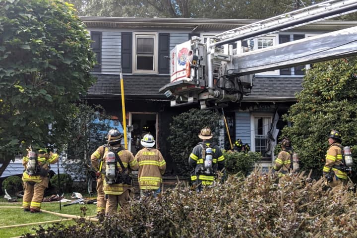 Cats Rescued In Mahwah House Fire