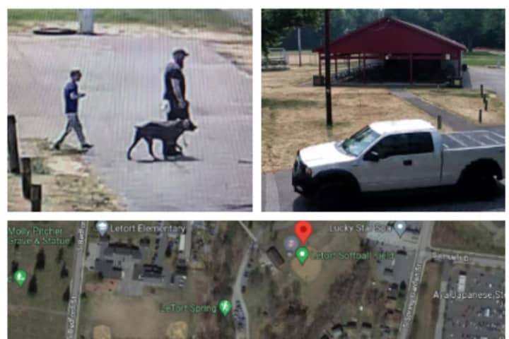 Dog Attack Sends Victim To Hospital In Central PA: Police