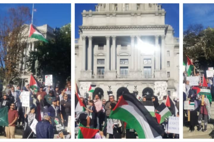 Man Points Gun At 'Peace For Palestine' Rally Attendees On Pennsylvania Capitol's Steps: Police