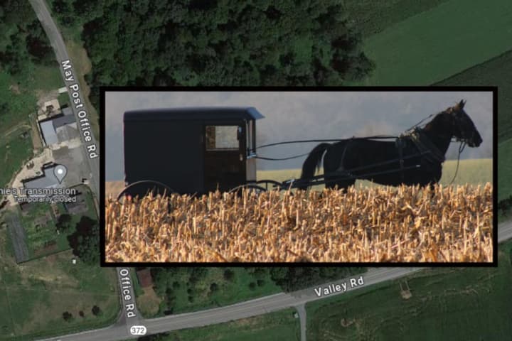 Driver Asleep At Wheel In Pennsylvania Amish Horse-Buggy Strike: Affidavit