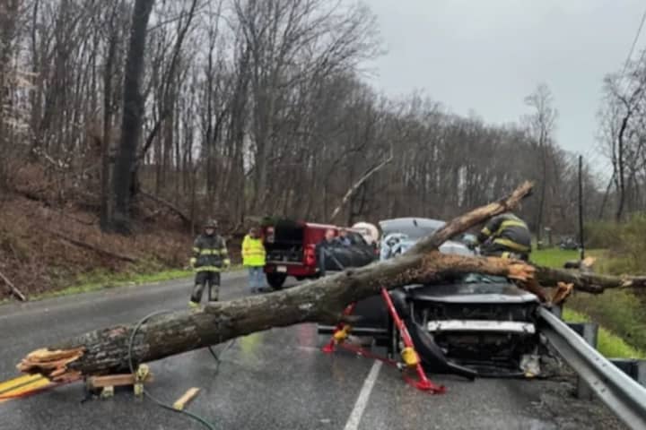 'Serious Injuries' Hospitalize 2 After Tree Falls On SUV: PA State Police