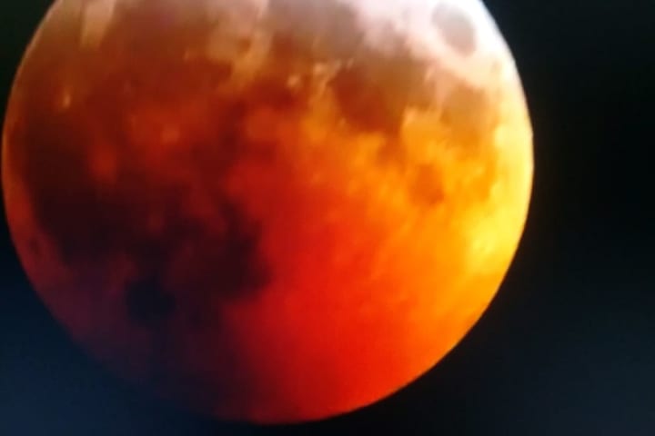 Did You See Super Blood Wolf Moon? 2021 Is Your Next Chance