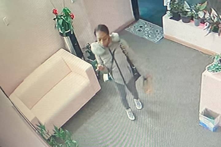 Suspect Wanted For Stealing $11K From Merrick Spa, Police Report