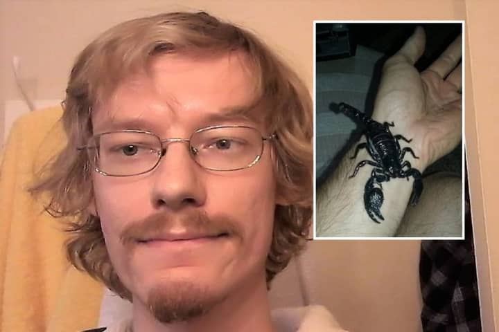 NJ Pet Salesman Gets Home Confinement For Importing Black Scorpions, Giant Millipedes