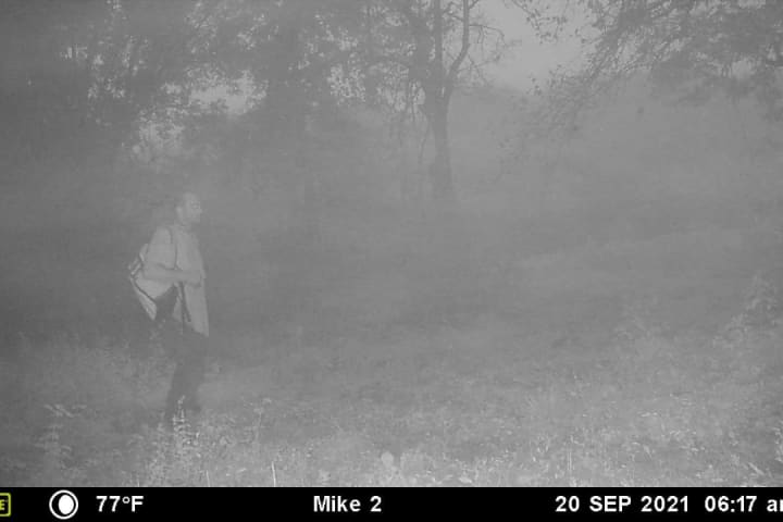 Missing Gabby Petito Boyfriend May Have Been Seen On Deer Cam