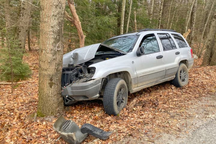 Car Crashes Into Tree After Driver Swerves To Avoid Deer In Massachusetts