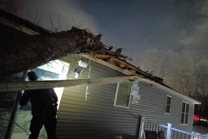 High Winds Send Tree Through Home In Central PA (PHOTOS)