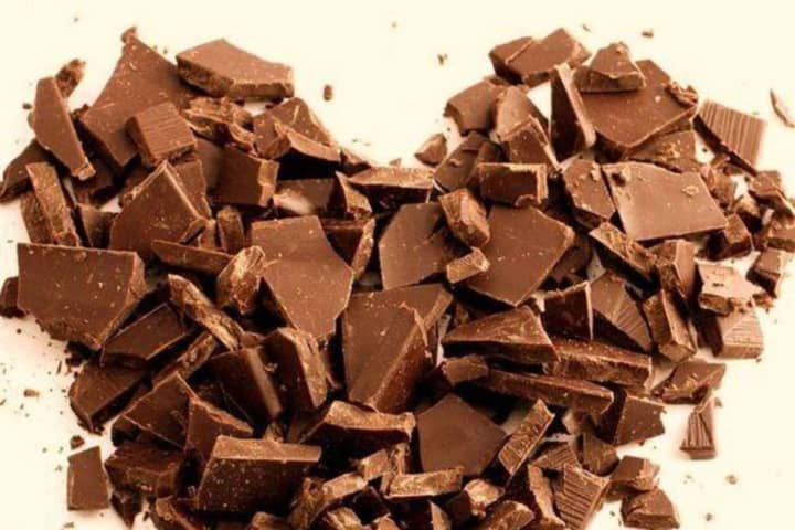 HOLY FUDGE: Massive Chocolate Expo Coming To Garden State Plaza This Weekend