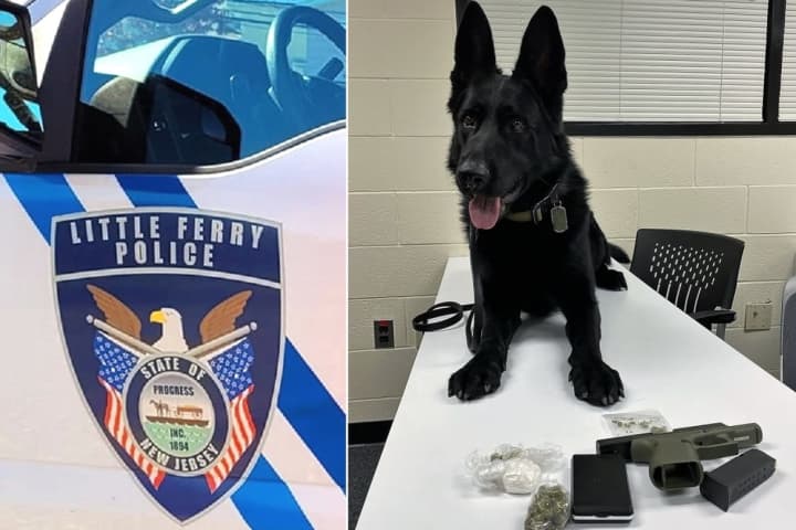 Law & Odor: K9 Sniffs Out Crack, Loaded Gun During Route 46 Stop In Little Ferry