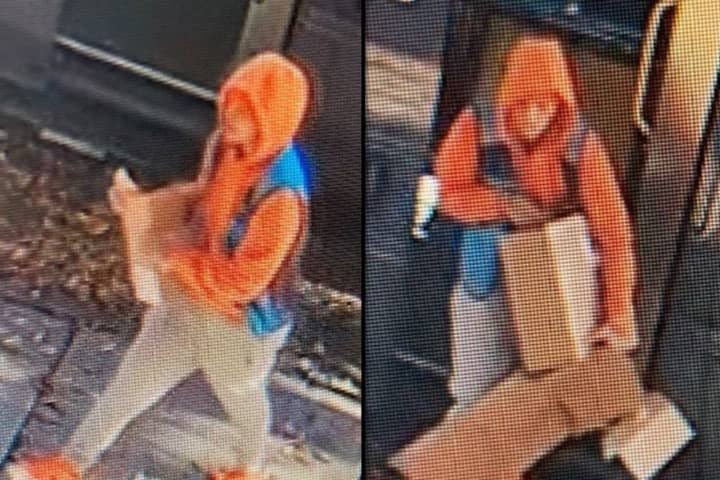 Woman Driving Amazon Delivery Truck Steals Packages In NY